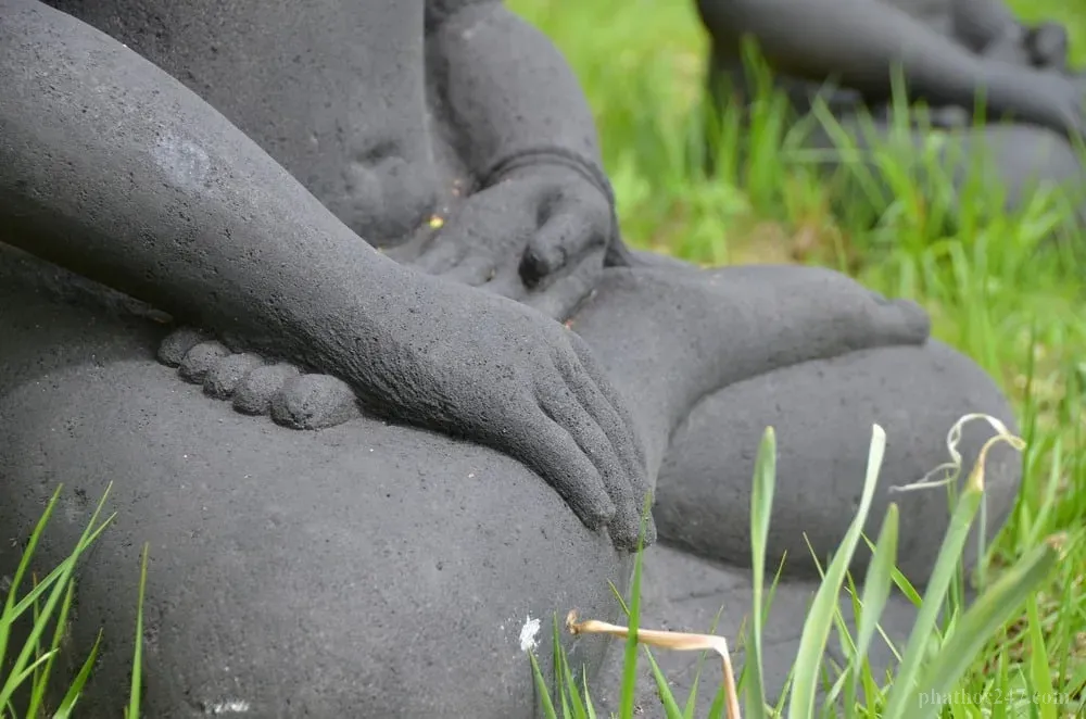 Ánh nắng buổi sáng chiếu vào khuôn viên chùa thanh bình