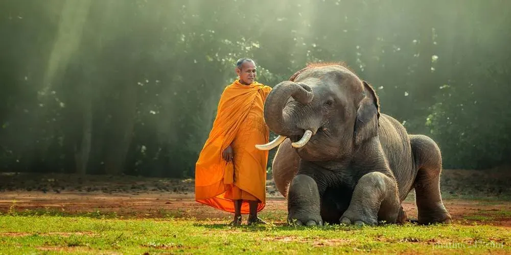 Áp dụng lòng từ vô lượng trong tương tác hàng ngày giữa con người