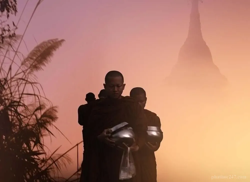 Ba trụ cột Giới, Định, Tuệ hỗ trợ người tu hành vượt qua khó khăn