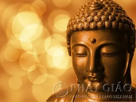 Bạn bè là những người ở bên ta trong lúc khó khăn