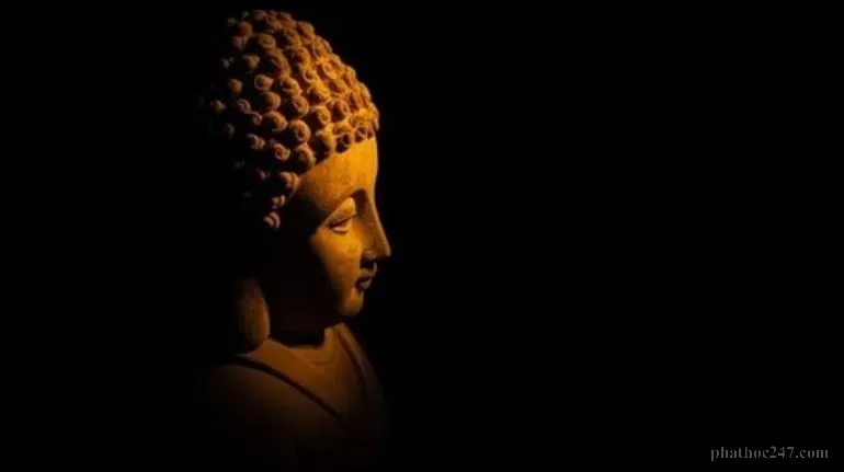 Bệnh tật là thách thức lớn trong quá trình tu tập tâm linh