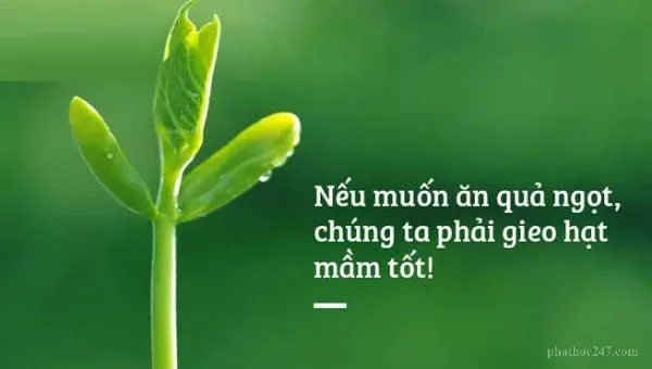 Biểu diễn mối liên hệ nhân quả giữa ba thế hệ: tổ tiên, cha mẹ, và con cháu