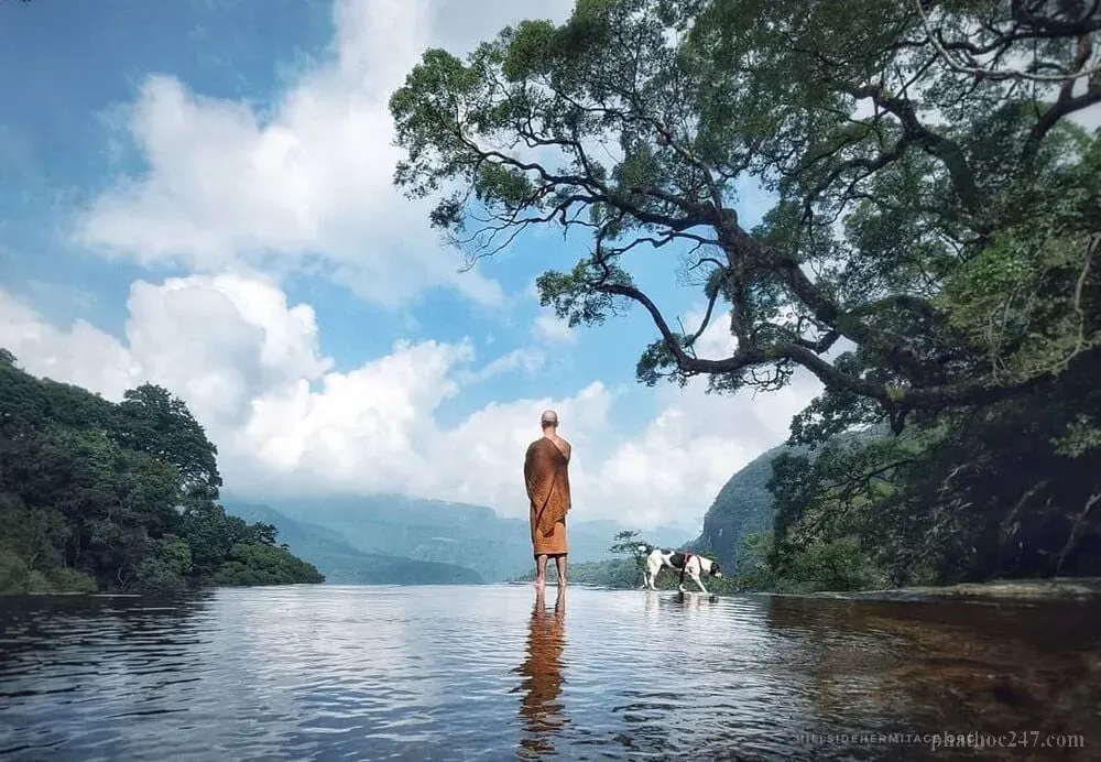 Bộ kinh cổ với lời dạy về cảnh tỉnh tâm niệm