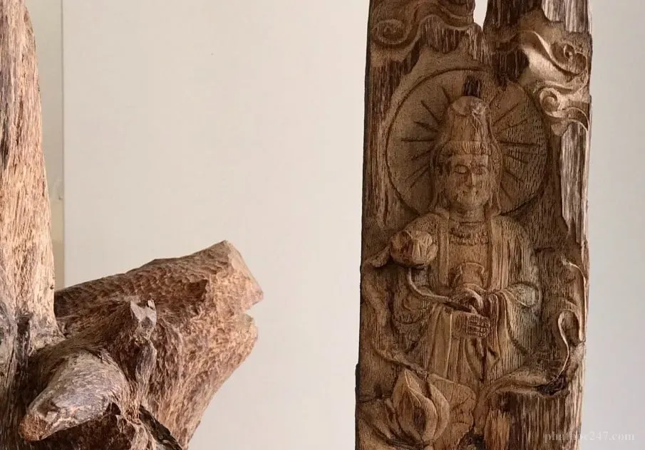 Bồ Tát Quán Thế Âm hiện ra giữa ánh sáng thiêm liêu để dạy những chúng sinh khao khát học pháp