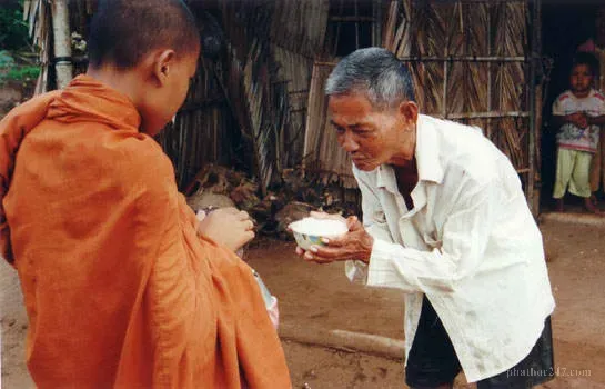 Bố thí như cây vun trồng phước lành trong tâm tư