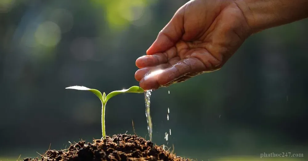 Bố thí tùy thời mang lại tâm an lạc và phước báu vô lượng cho người tu học Phật giáo