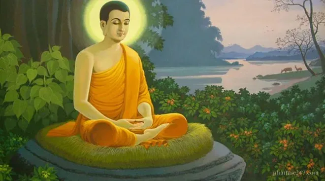 Bonsai đơn độc trên tảng đá biểu tượng cho sự vô thường và rộng mở của không gian