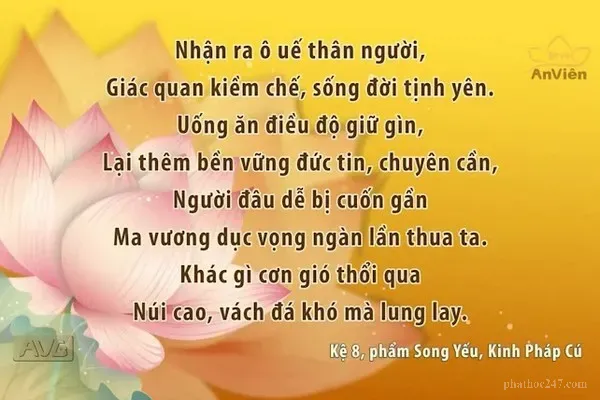 Các bài kệ Kinh Pháp Cú mang những bài học về đạo đức và tu tập