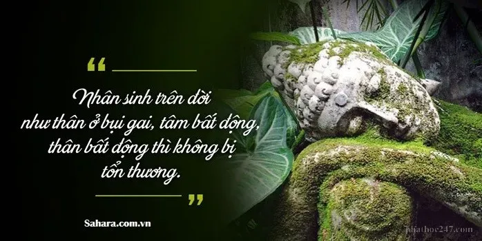 Các chuyên gia quốc tế hỗ trợ triển khai chương trình rèn luyện tâm tại các trường học