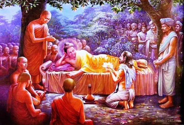 Các đệ tử theo dõi Đức Phật nhập định cuối cùng dưới cây Ta-la