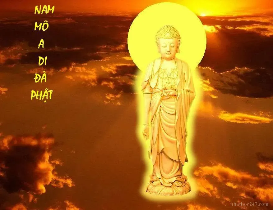 Các Phật tử thực hành tu tập với tâm chân thành trong môi trường thiền định