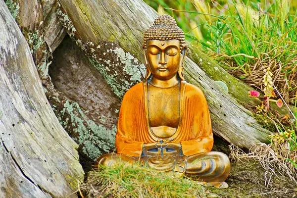 Các thành phần tâm thức và vai trò của chúng trong quá trình nhận thức