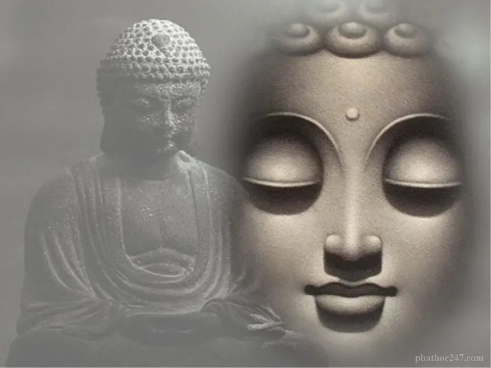 Các thiền sinh tu học, tiếp tục những lời dạy của Đức Phật mà Tolstoy vô cùng tôn kính