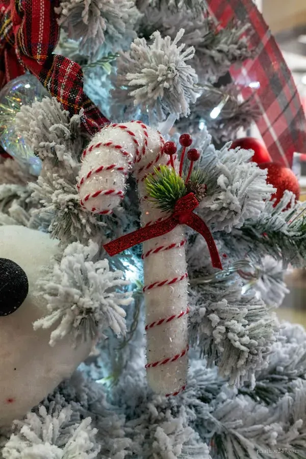 Các tu sĩ nhận bố thí thực phẩm trong cơm sáng tại chùa buổi hôm