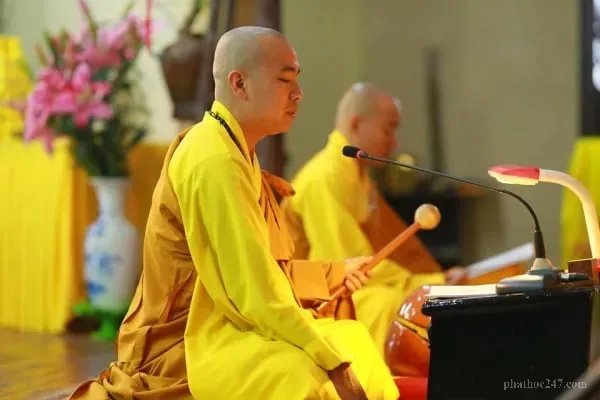 Các vị sư cô tụng kinh trong chùa với trang phục áo cà sa truyền thống tím mơ tại đạo tràng