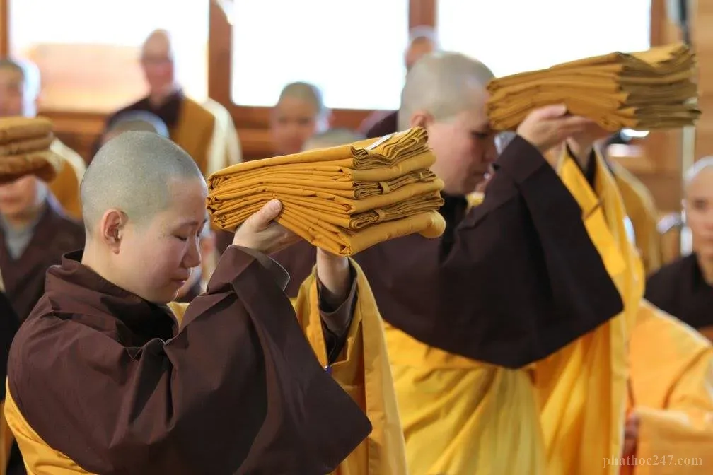 Các vị tăng tu tập trong thiền định, áo cà sa Phật giáo mang ý nghĩa tâm linh sâu xa