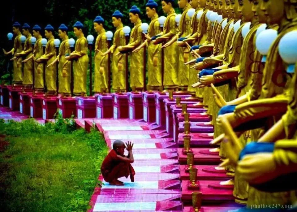 Cây cân bằng trên một tảng đá, thể hiện sự hòa hợp giữa hai lực lượng