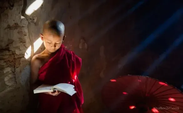 Chính niệm cao độ được thể hiện qua lựa chọn ngôn ngữ và sự im lặng tỉnh thức