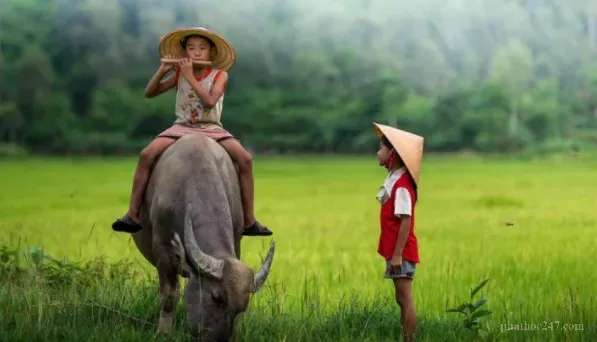 Chính niệm giúp dẫn dắt tâm ý trên con đường tu tập đúng đắn