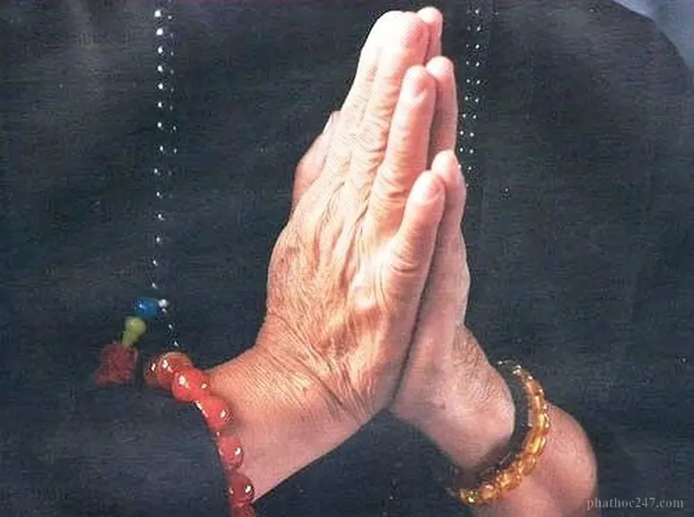 Chuỗi niệm Phật với các hạt gỗ quý, công cụ tu tập hằng ngày của Phật tử