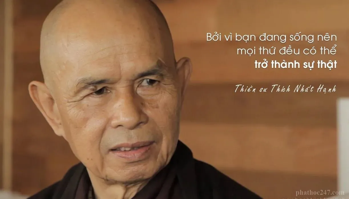 Chuyển hóa cơn giận bằng sự thấu hiểu - bí quyết Phật giáo