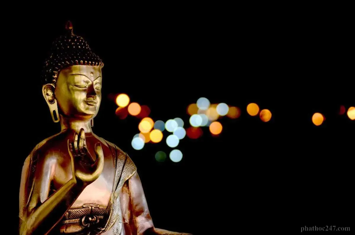 Con đường tu tập để nhận ra Phật tánh đầy ý nghĩa và giải phóng