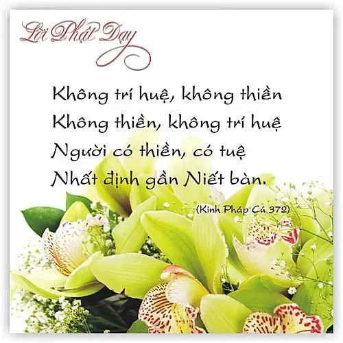 Con đường tu tập theo Kinh Pháp Cú là hành trình dài nhưng giàu ý nghĩa