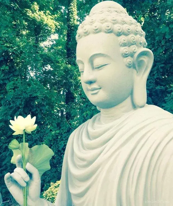 Con đường tu tập và xoay chuyển vận mệnh đòi hỏi kiên trì