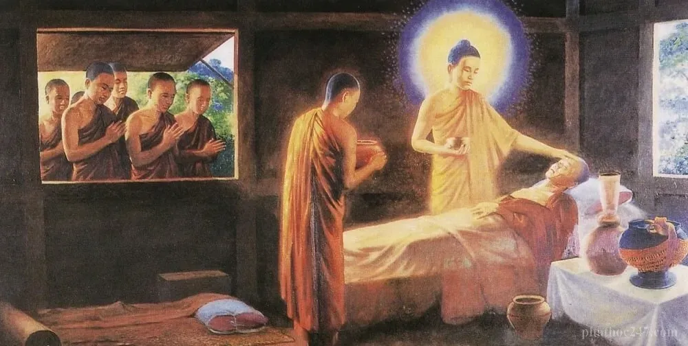 Định và tuệ là hai công cụ thiết yếu trong chẩn đoán bệnh theo Phật giáo