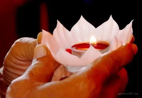 Đũa hương được thắp sáng trong nghi thức cầu siêu, tượng trưng cho tâm nguyện chiếu sáng - Cầu nguyện