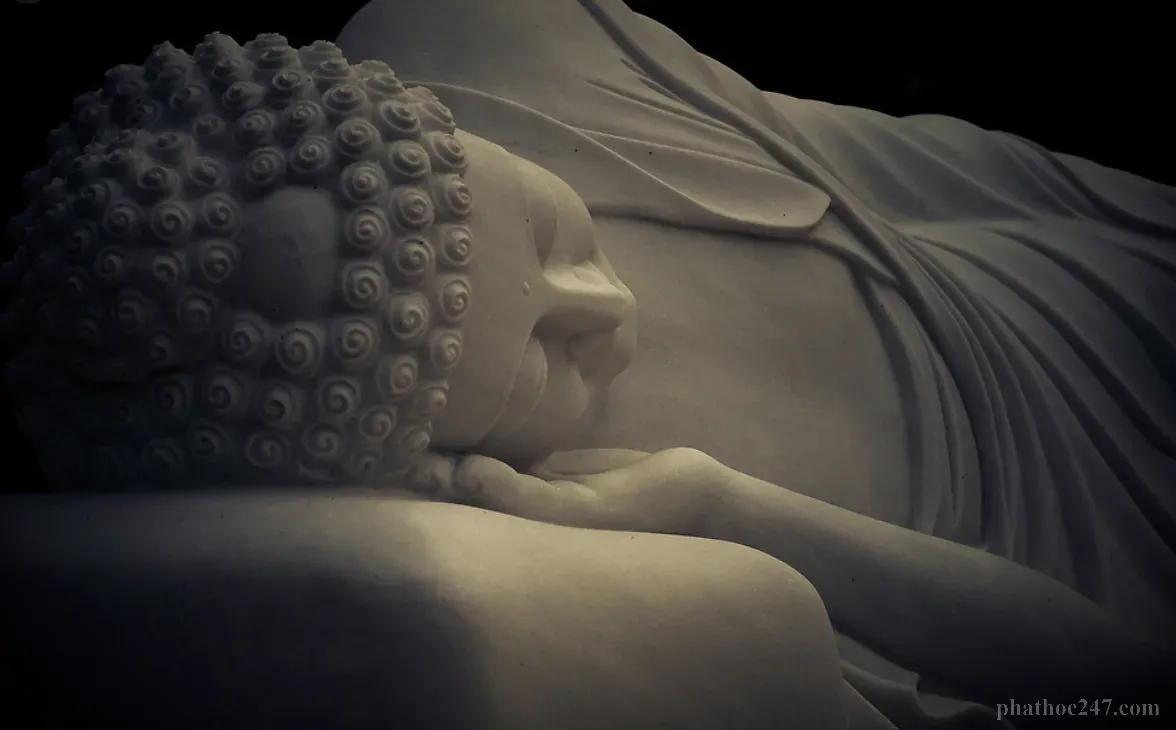 Đức Phật khuyến khích chúng ta hãy nên cố gắng nỗ lực tìm sự giải thoát cho chính mình bằng cách nương tựa vào Chính pháp