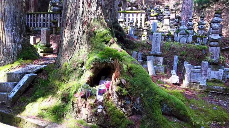 Đường mộ Okunoin dài tới 2 cây số với hàng ngàn bia mộ cổ kính