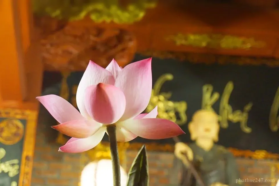 Gia đình cùng nhau tu tập và thiền định để tạo duyên lành chung