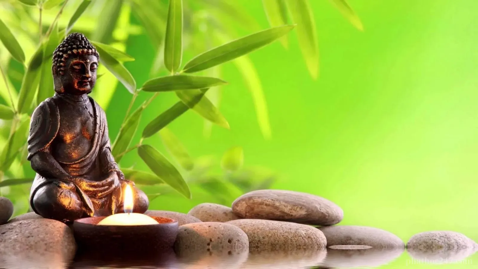 Giá trị của con người được thể hiện qua cách ứng xử trong hoàn cảnh khó khăn