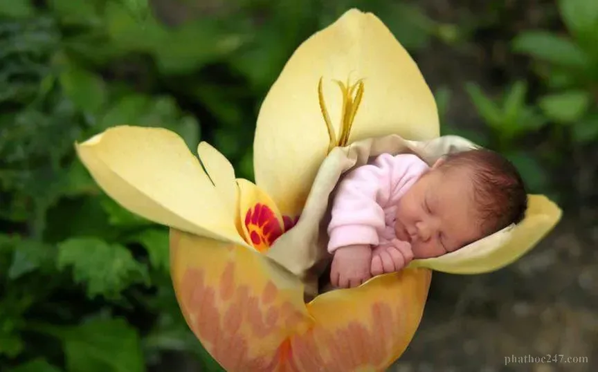 Giáo dục tích cực là chìa khóa để tạo dựng công nghiệp thiện lành cho con cái