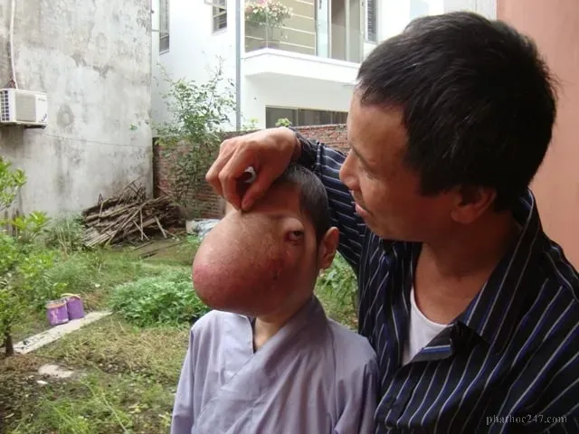 Giáo lý Phật giáo về Nhân quả giúp con người hiểu rõ mối liên hệ giữa hành động hiện tại và kết quả tương lai