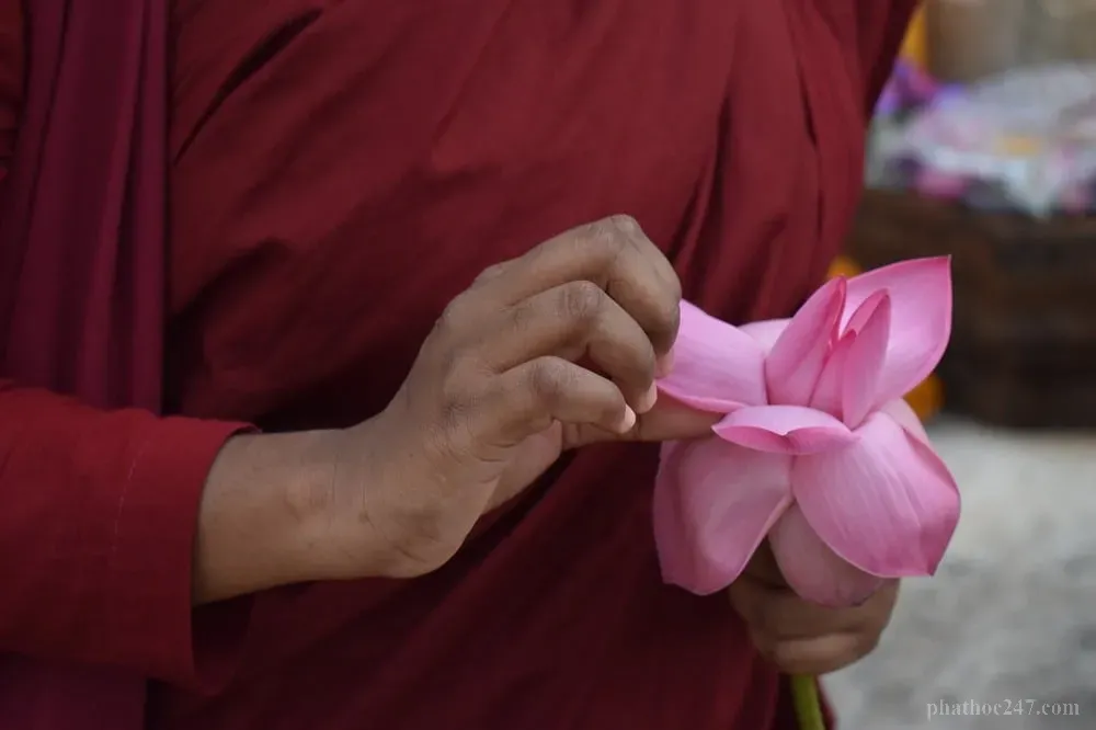 Giáo pháp được truyền tải một cách dễ hiểu qua lời nói tử tế và khéo léo