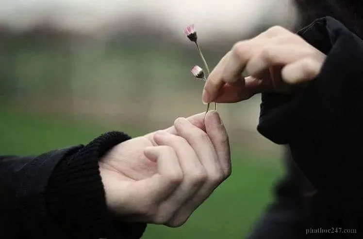 Hải đảo tự thân là nơi an toàn nội tâm giúp ta vượt qua những tâm bão của cuộc sống