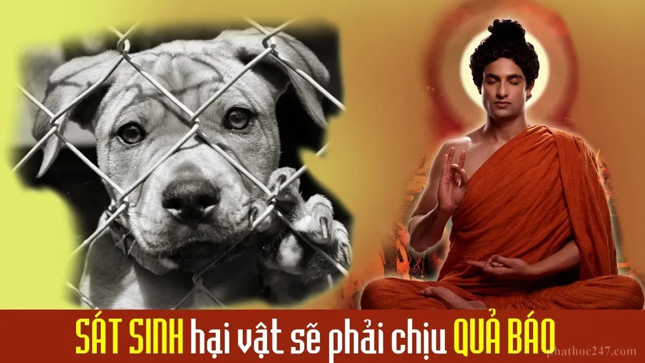 Hai tay người dang rộng tượng trưng cho lòng từ bi và bảo vệ các loài động vật