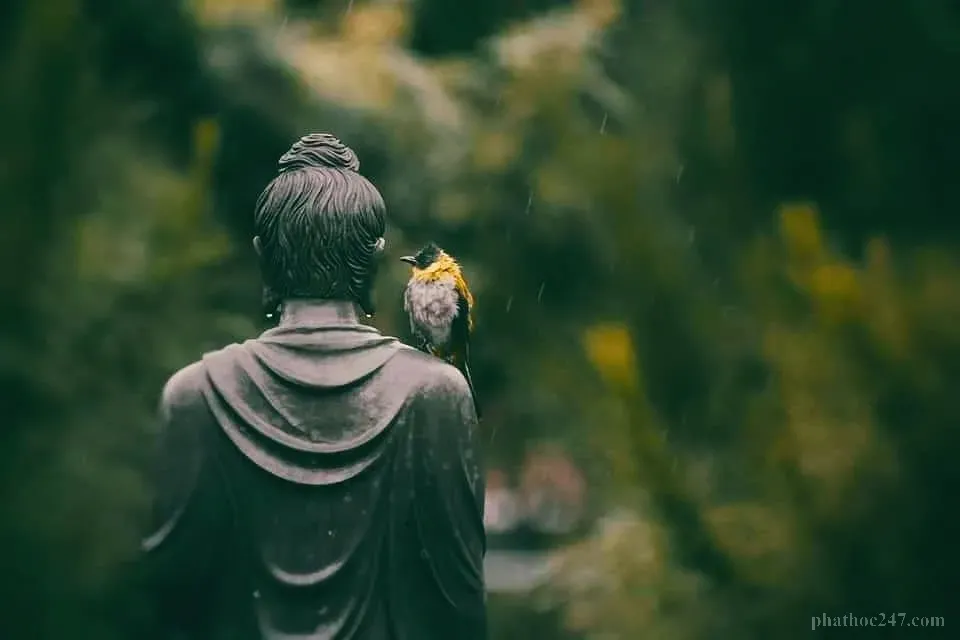 Hành động thiện lành là hành trang cho giai bệnh