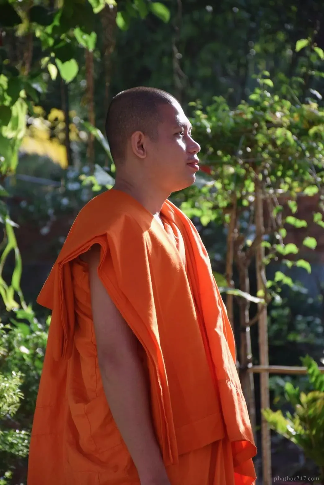 Hành giả tinh tấn trong thiền định, khuôn mặt tập trung và thanh thản