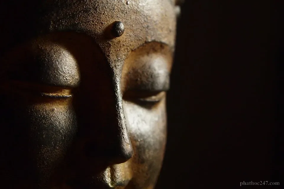 Hạnh phúc hiện tại không phụ thuộc vào quá khứ hay tương lai