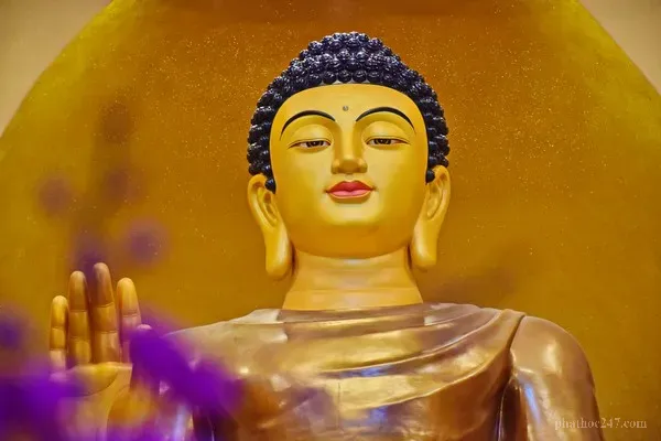 Hiện tượng thế gian thuyết giảng chân lý Phật pháp liên tục