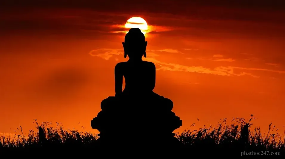 Hình ảnh anh em Phật tử sống với tinh thần tương trợ, tu tập vì tương lai tốt đẹp hơn