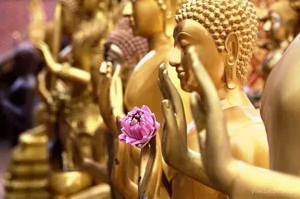 Hình ảnh biểu trưng sự bất tịnh của thân thể theo giáo pháp Phật giáo