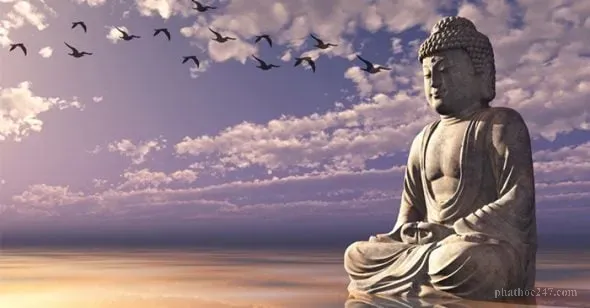 Hình ảnh minh họa về Duyên Khởi trong Phật giáo