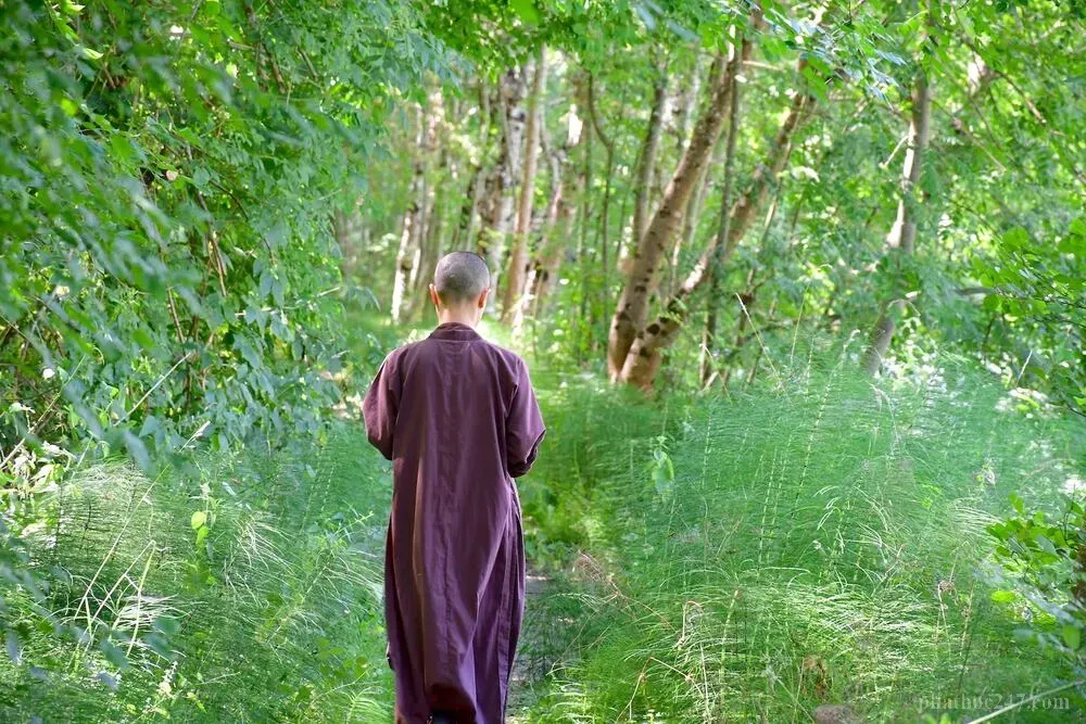 Hình ảnh tâm trạng thanh tịnh giúp con người thấu hiểu và chăm sóc tâm ý mình