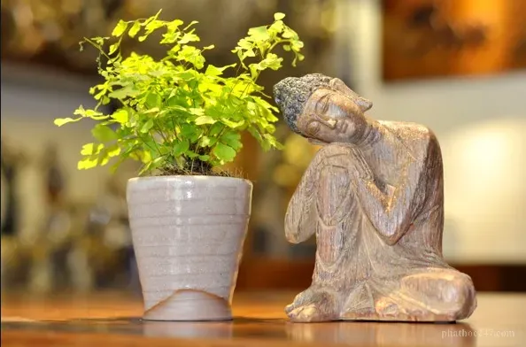 Hình tượng Phật được coi là phản ánh của pháp thân chứ không phải pháp thân thực