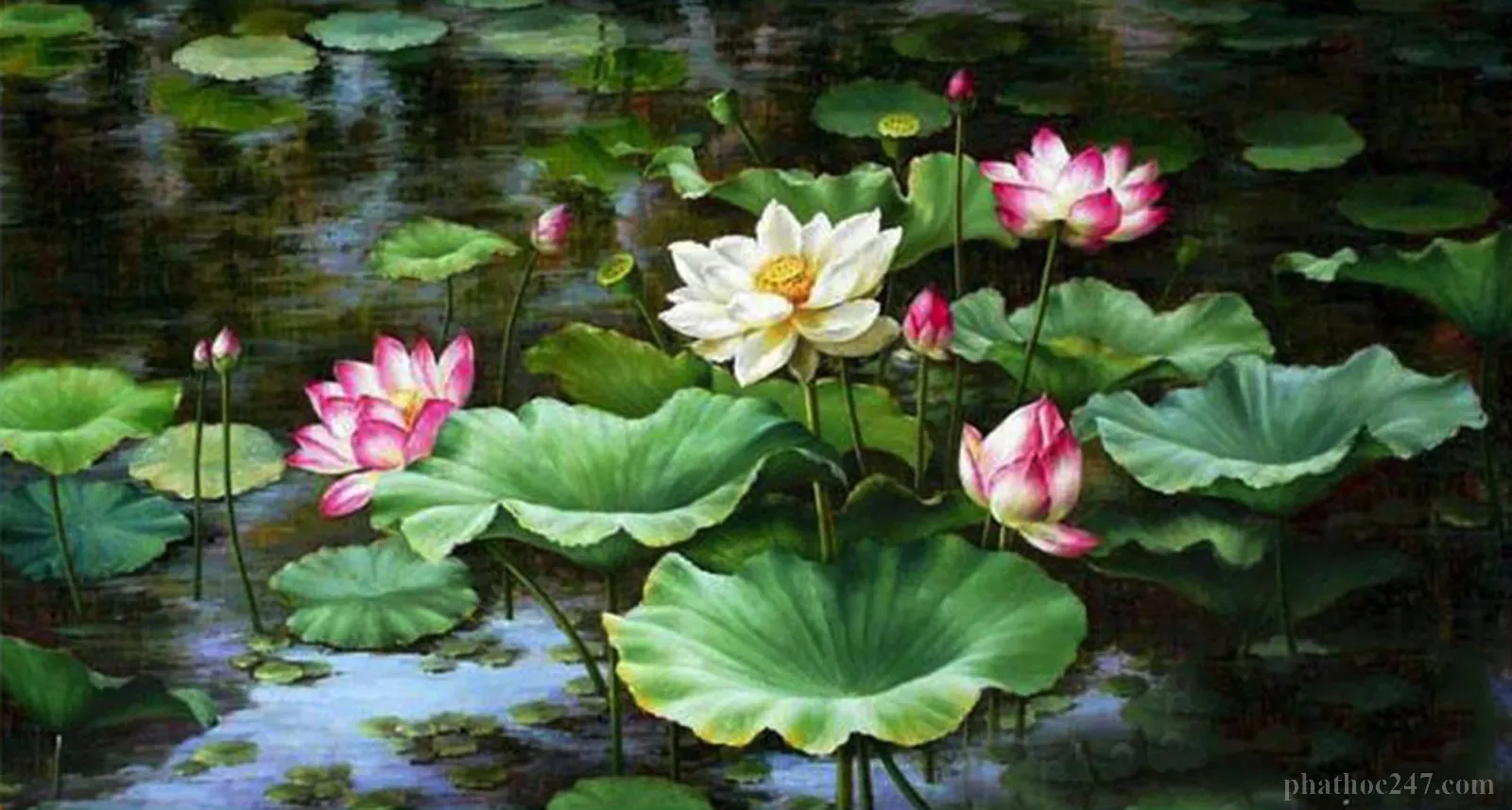 Hoa sen trong kiến trúc và thực hành tu học Phật giáo Việt Nam