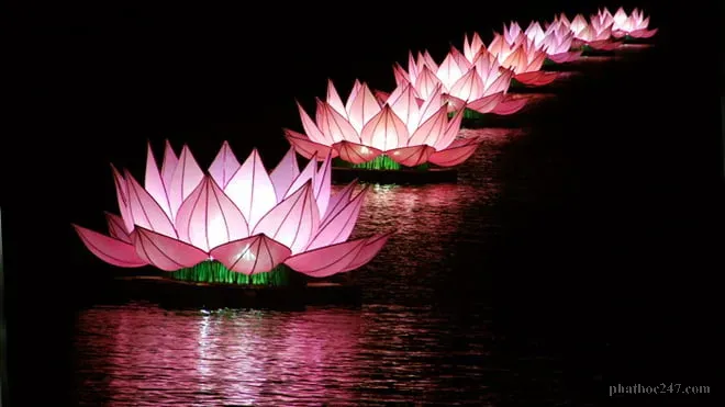 Hoa sen tượng trưng cho sự khai mở và giải thoát trong Phật giáo